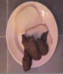 In this culinary arts clip, Roxanne makes an open face poop sandwich! About 2 minutes.